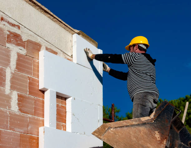 Best Professional Insulation Contractor  in Ridley Rk, PA