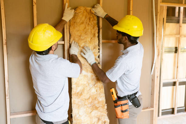 Best Insulation Inspection Services  in Ridley Rk, PA