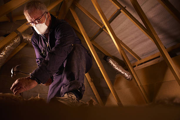 Trusted Ridley Park, PA Insulation Contractor Experts