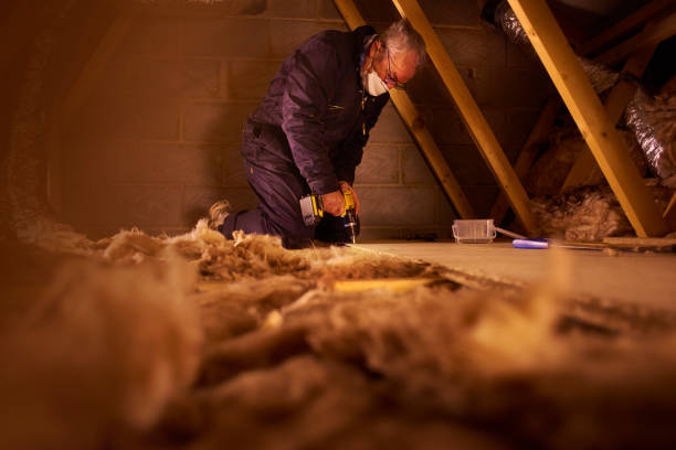 Best Insulation Replacement Services  in Ridley Rk, PA